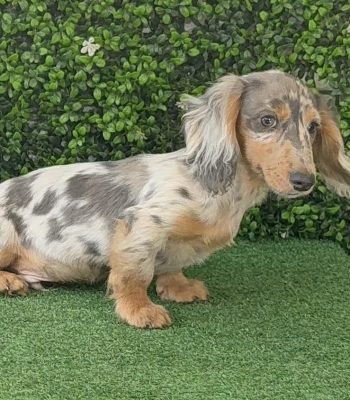 unnamed - 2025-10-26T104029.035