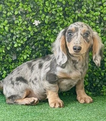 unnamed - 2025-10-26T104036.397