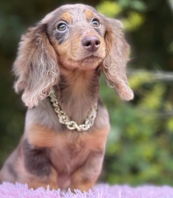 unnamed - 2025-10-30T164617.050