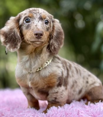 unnamed - 2025-10-30T164703.071