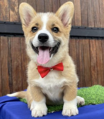 unnamed - 2025-11-05T091254.437