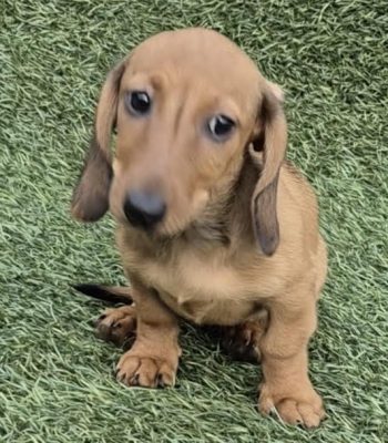 unnamed - 2025-11-12T222350.529