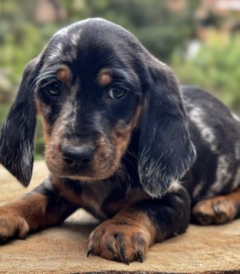 unnamed - 2025-11-15T083340.301