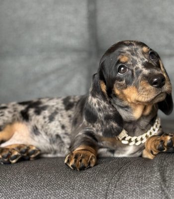 unnamed - 2025-11-18T144624.309