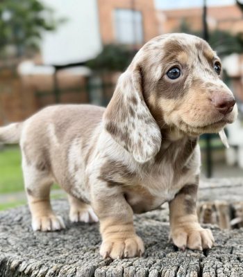 unnamed - 2025-11-19T213938.162