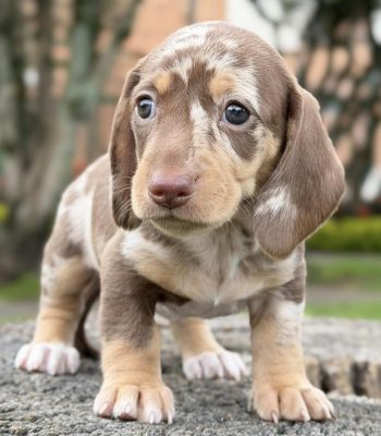 unnamed - 2025-11-19T214100.268