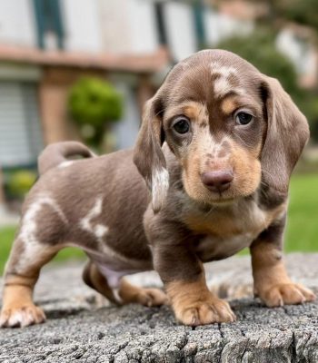 unnamed - 2025-11-19T214305.682