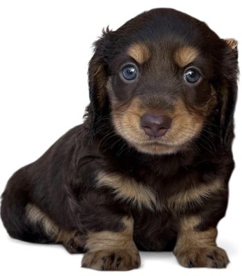 unnamed - 2025-11-25T213138.588