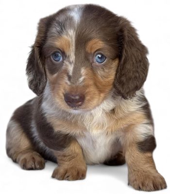 unnamed - 2025-11-25T213152.227