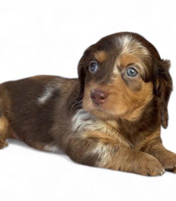 unnamed - 2025-11-25T213201.353