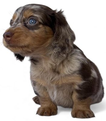 unnamed - 2025-11-25T213211.312