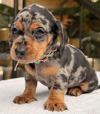 unnamed - 2025-11-25T213220.215