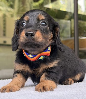 unnamed - 2025-11-25T213229.508