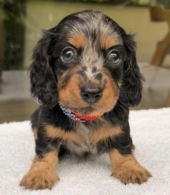 unnamed - 2025-11-25T213243.225