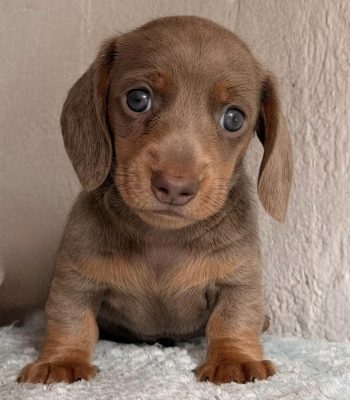 unnamed - 2025-11-25T213546.949