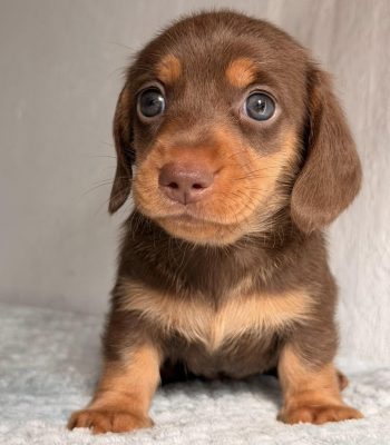 unnamed - 2025-11-25T213554.478