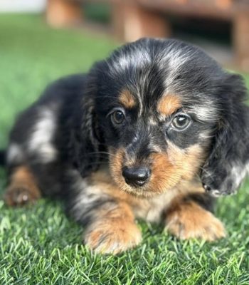 unnamed - 2025-11-25T213943.671