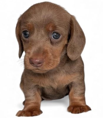 unnamed - 2025-11-25T215039.285