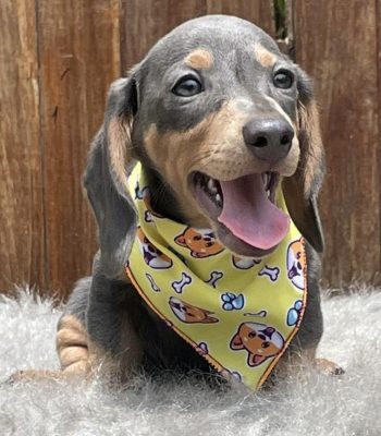 unnamed - 2026-03-11T185450.050