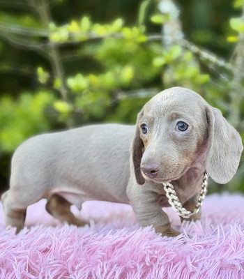 unnamed - 2026-03-13T095717.241