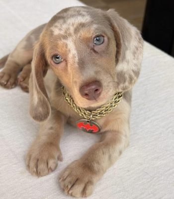 unnamed - 2026-03-15T113927.745