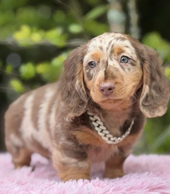 unnamed - 2026-03-25T093229.118