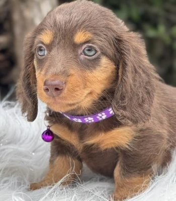 unnamed - 2026-04-05T151412.769