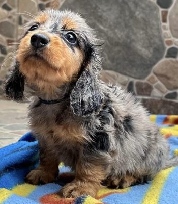 unnamed - 2026-04-05T151426.977