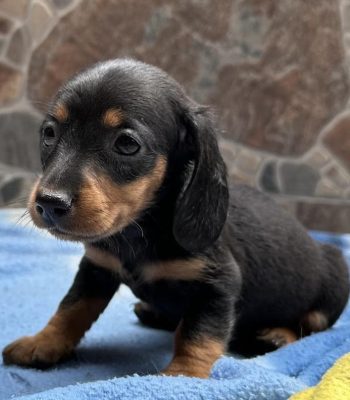 unnamed - 2026-04-05T151437.810