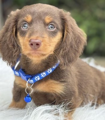 unnamed - 2026-04-05T152424.274