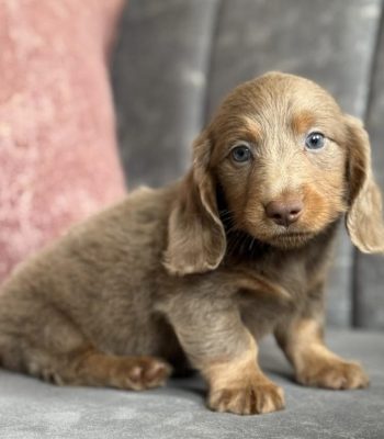 unnamed - 2026-04-09T093247.576