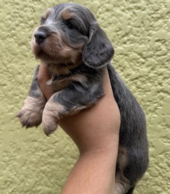 unnamed - 2026-04-09T120426.089