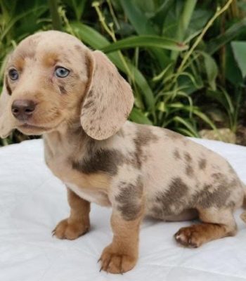 unnamed - 2026-04-09T120842.457