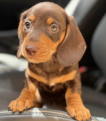 unnamed - 2026-04-16T210133.035