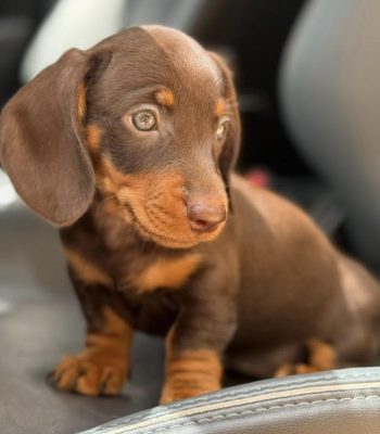 unnamed - 2026-04-16T210150.683