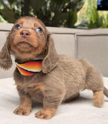 unnamed - 2026-04-16T210211.527