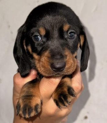 unnamed - 2026-05-20T225013.603