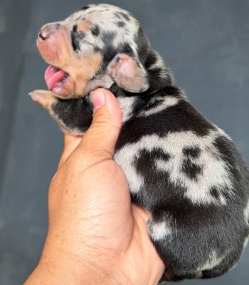 unnamed - 2026-07-16T004900.000